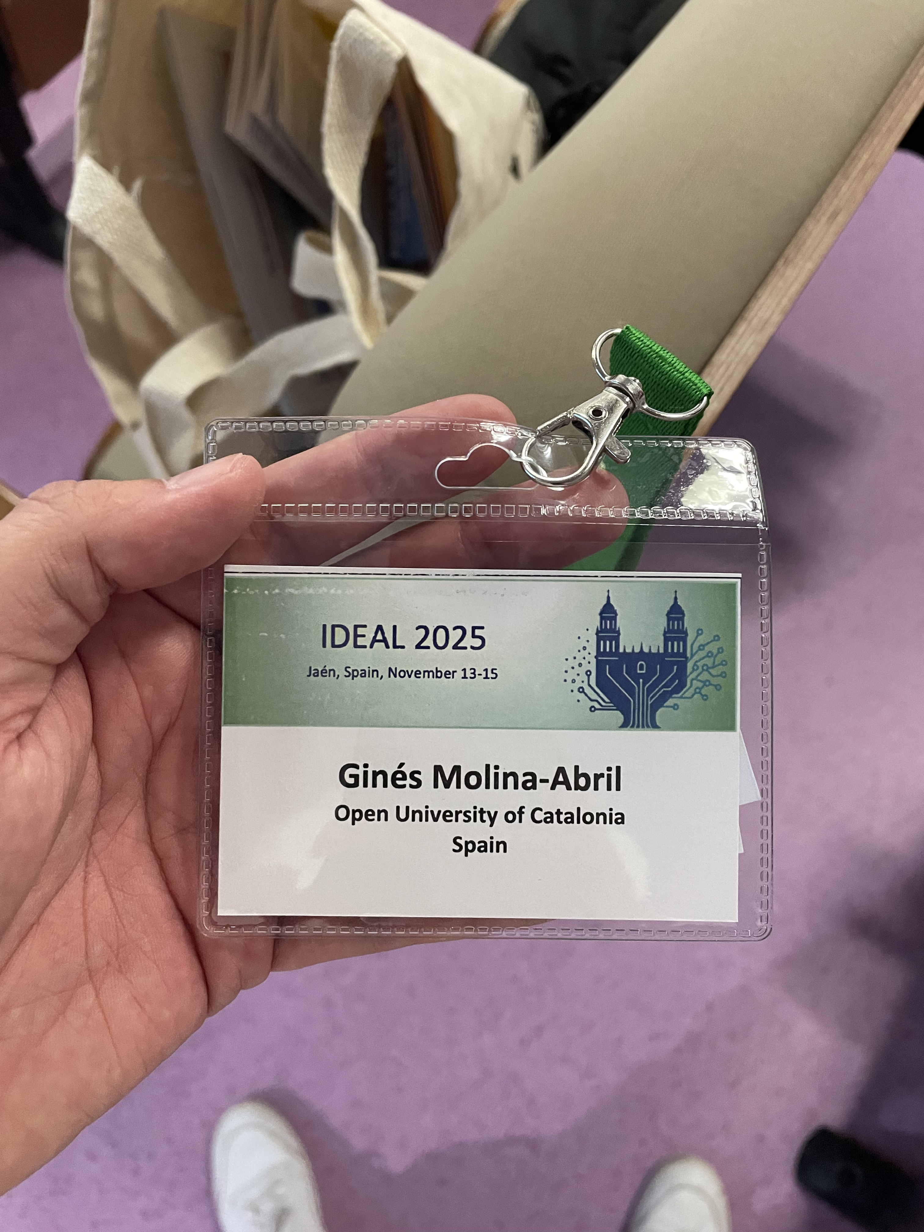 IDEAL 2025 Conference